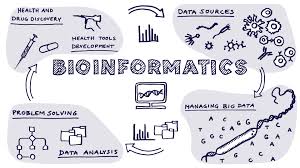 Chapter 4: Bioinformatics
